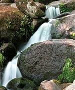 Waterfall in summer, Wales