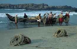 Fishing, Kerala, India